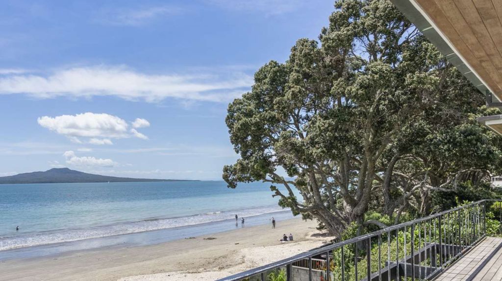 Owner fined for slashing trees that blocked beachfront view